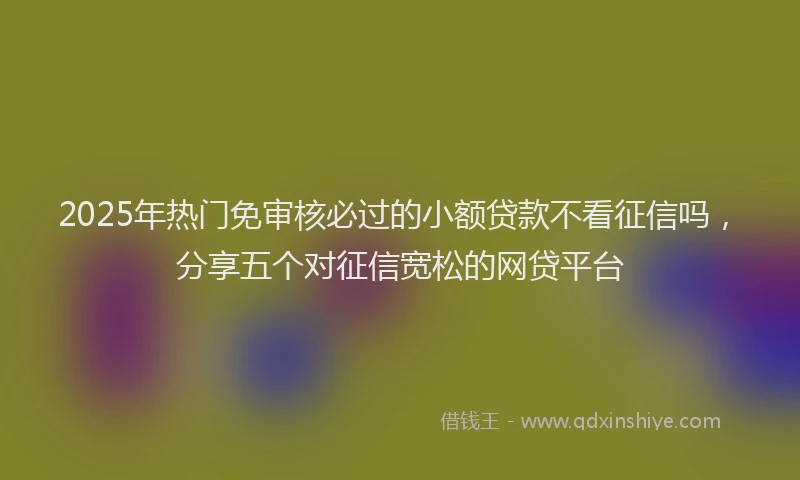 2025年热门免审核必过的小额贷款不看征信吗，分享五个对征信宽松的网贷平台
