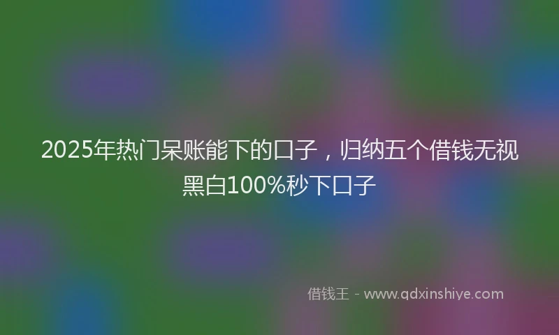 2025年热门呆账能下的口子，归纳五个借钱无视黑白100%秒下口子