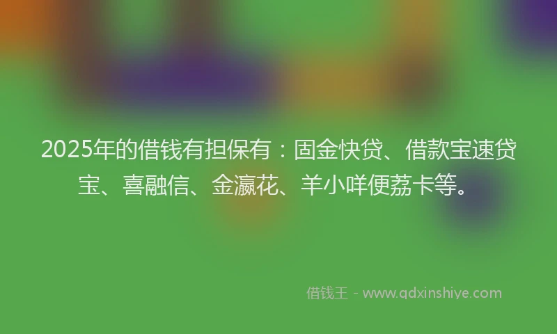 2025年的借钱有担保有：固金快贷、借款宝速贷宝、喜融信、金瀛花、羊小咩便荔卡等。