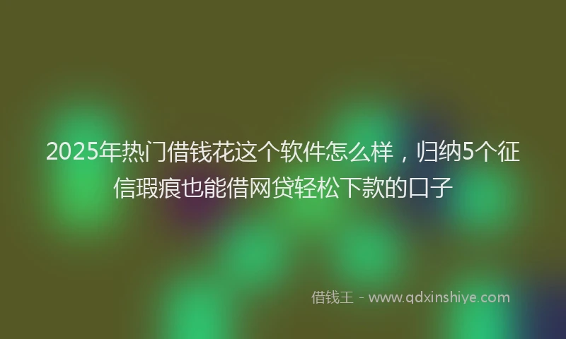 2025年热门借钱花这个软件怎么样，归纳5个征信瑕疵也能借网贷轻松下款的口子