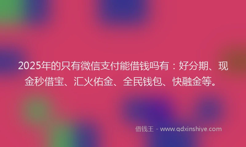 2025年的只有微信支付能借钱吗有：好分期、现金秒借宝、汇火佑金、全民钱包、快融金等。