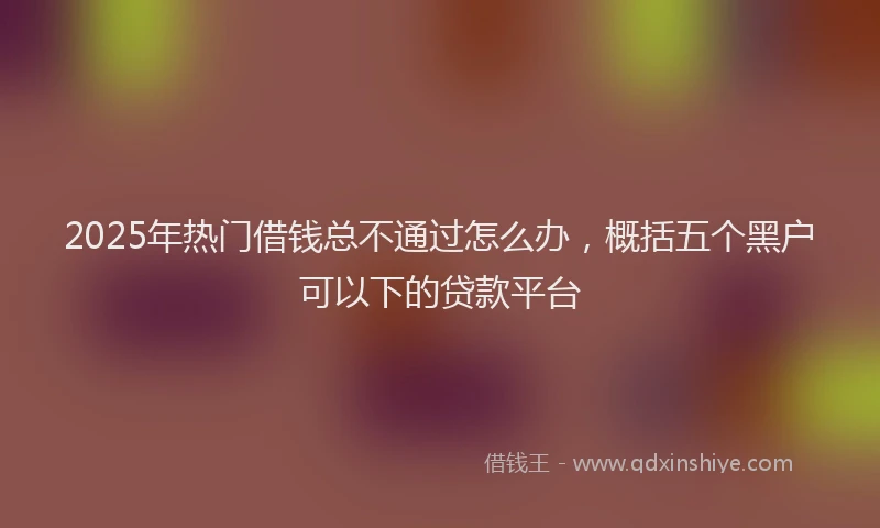 2025年热门借钱总不通过怎么办，概括五个黑户可以下的贷款平台