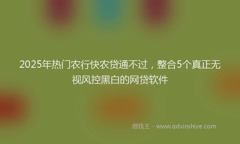 2025年热门农行快农贷通不过，整合5个真正无视风控黑白的网贷软件