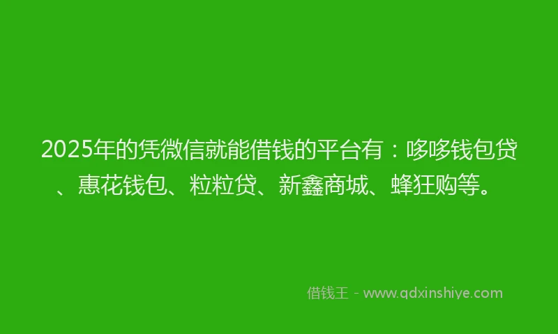 2025年的凭微信就能借钱的平台有：哆哆钱包贷、惠花钱包、粒粒贷、新鑫商城、蜂狂购等。