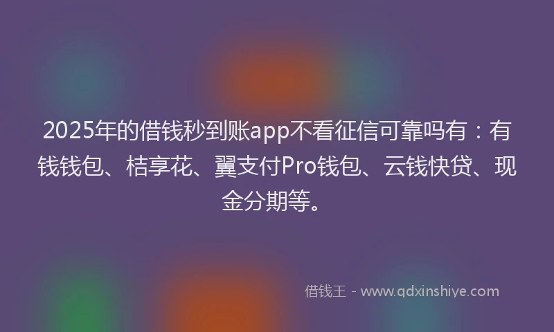 2025年的借钱秒到账app不看征信可靠吗有：有钱钱包、桔享花、翼支付Pro钱包、云钱快贷、现金分期等。