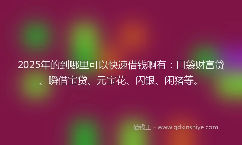 2025年的到哪里可以快速借钱啊有：口袋财富贷、瞬借宝贷、元宝花、闪银、闲猪等。