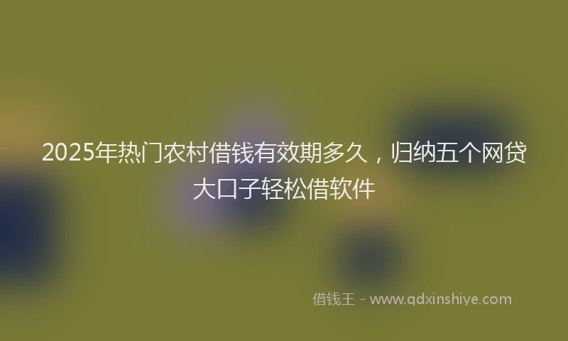 2025年热门农村借钱有效期多久，归纳五个网贷大口子轻松借软件