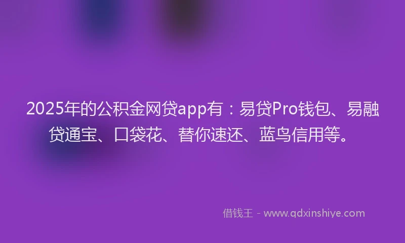 2025年的公积金网贷app有：易贷Pro钱包、易融贷通宝、口袋花、替你速还、蓝鸟信用等。