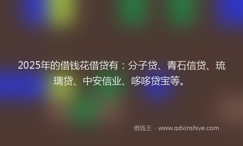 2025年的借钱花借贷有：分子贷、青石信贷、琉璃贷、中安信业、哆哆贷宝等。