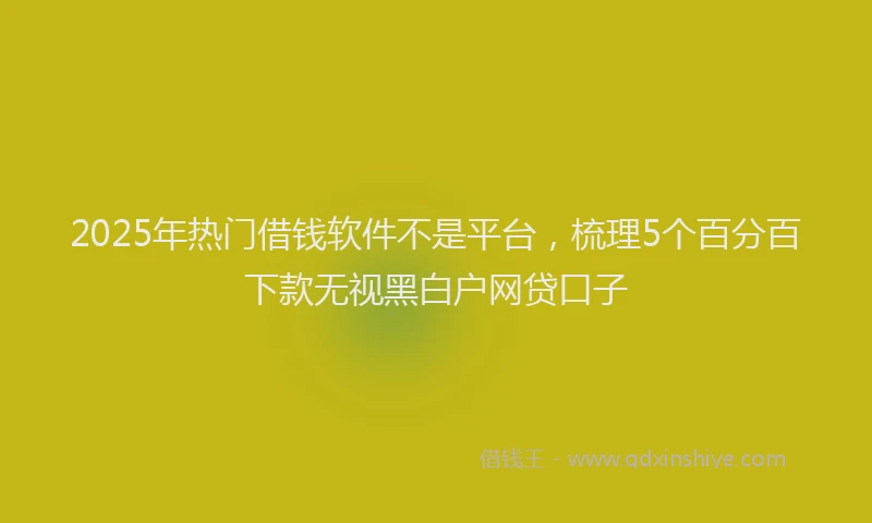 2025年热门借钱软件不是平台，梳理5个百分百下款无视黑白户网贷口子