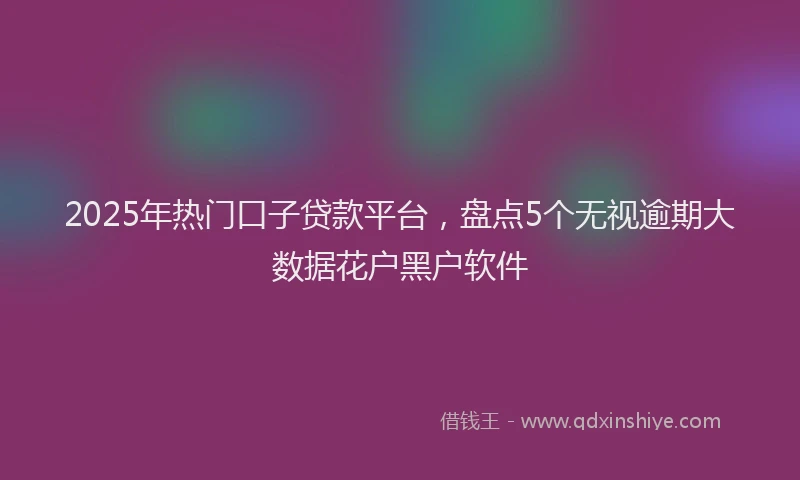 2025年热门口子贷款平台，盘点5个无视逾期大数据花户黑户软件