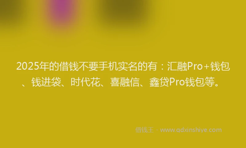 2025年的借钱不要手机实名的有：汇融Pro+钱包、钱进袋、时代花、喜融信、鑫贷Pro钱包等。