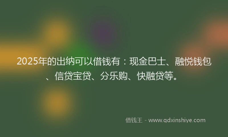 2025年的出纳可以借钱有：现金巴士、融悦钱包、信贷宝贷、分乐购、快融贷等。