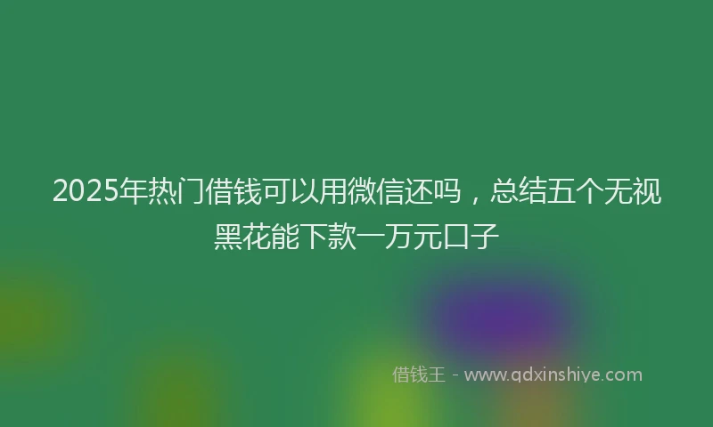 2025年热门借钱可以用微信还吗，总结五个无视黑花能下款一万元口子