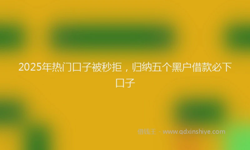 2025年热门口子被秒拒，归纳五个黑户借款必下口子