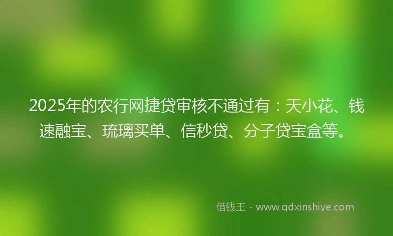 2025年的农行网捷贷审核不通过有：天小花、钱速融宝、琉璃买单、信秒贷、分子贷宝盒等。