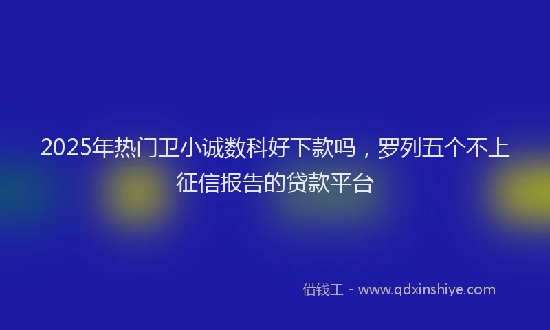 2025年热门卫小诚数科好下款吗，罗列五个不上征信报告的贷款平台