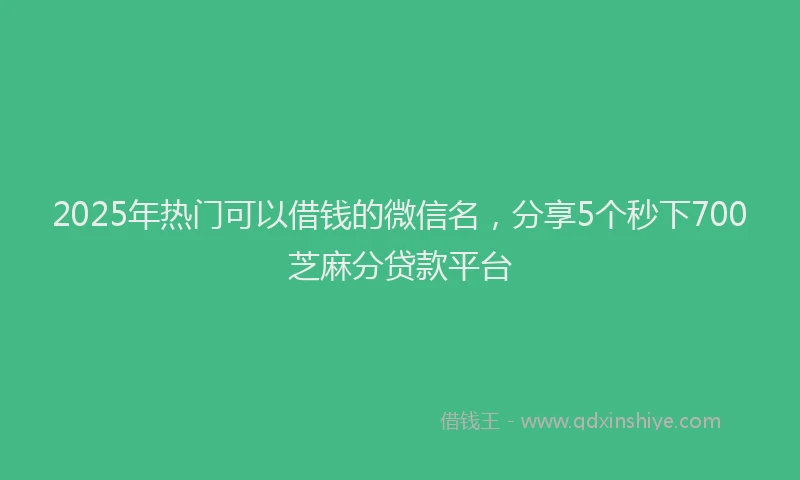 2025年热门可以借钱的微信名，分享5个秒下700芝麻分贷款平台