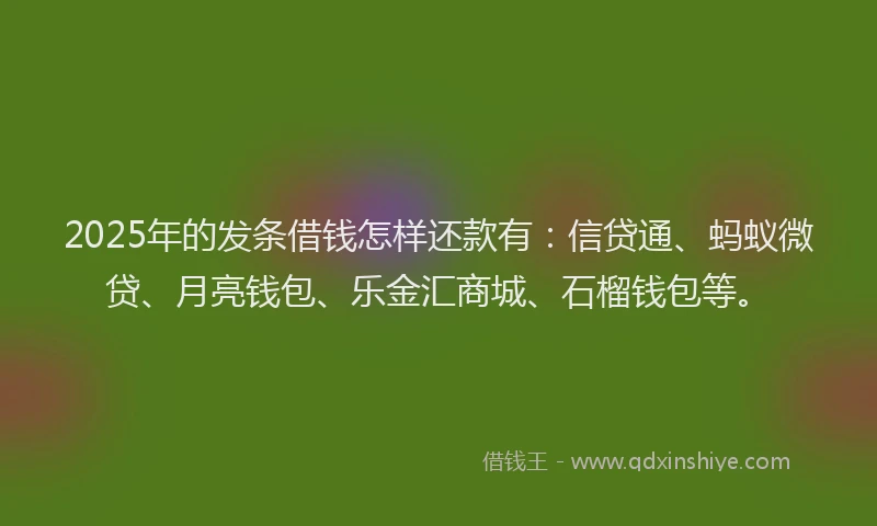 2025年的发条借钱怎样还款有：信贷通、蚂蚁微贷、月亮钱包、乐金汇商城、石榴钱包等。