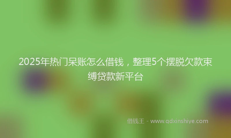 2025年热门呆账怎么借钱，整理5个摆脱欠款束缚贷款新平台