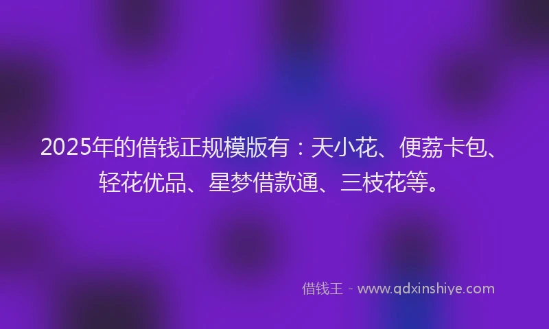 2025年的借钱正规模版有：天小花、便荔卡包、轻花优品、星梦借款通、三枝花等。