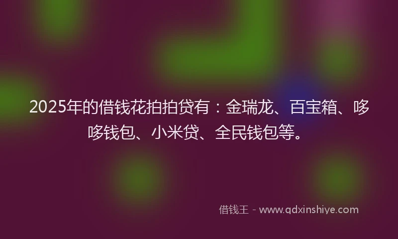 2025年的借钱花拍拍贷有：金瑞龙、百宝箱、哆哆钱包、小米贷、全民钱包等。