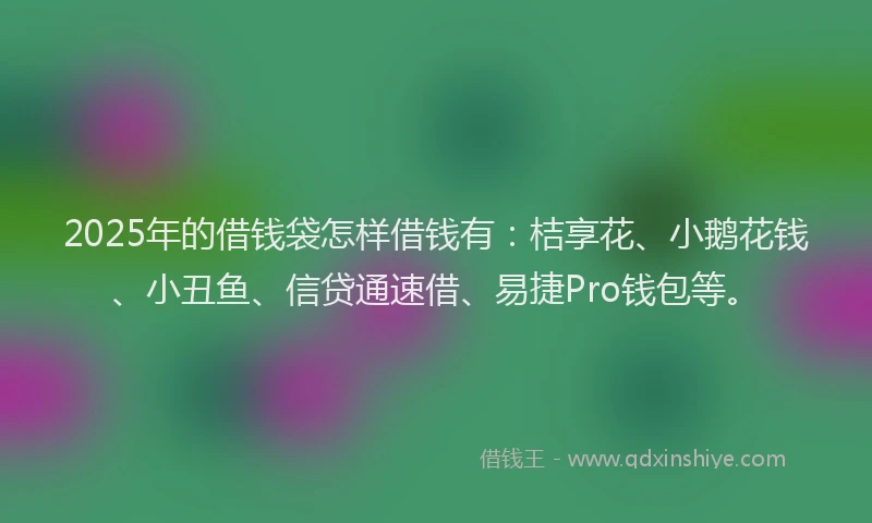 2025年的借钱袋怎样借钱有：桔享花、小鹅花钱、小丑鱼、信贷通速借、易捷Pro钱包等。