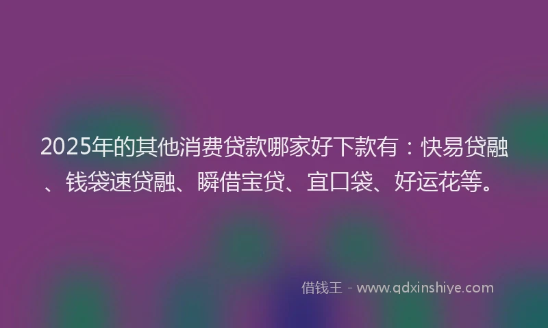 2025年的其他消费贷款哪家好下款有：快易贷融、钱袋速贷融、瞬借宝贷、宜口袋、好运花等。
