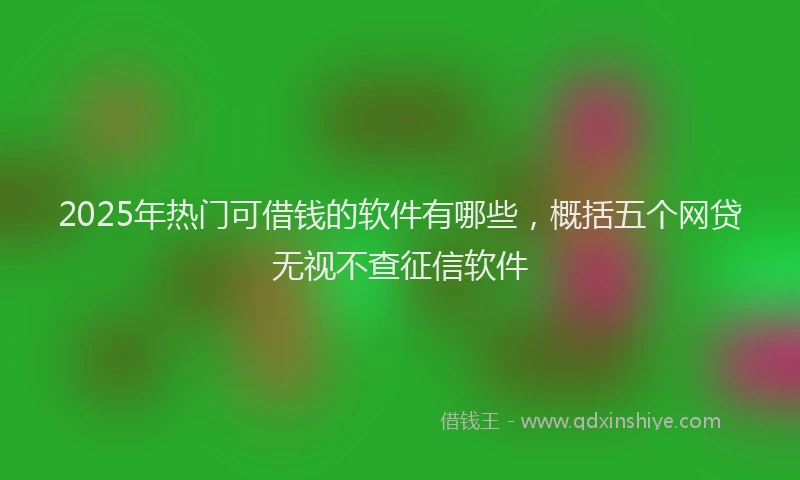 2025年热门可借钱的软件有哪些，概括五个网贷无视不查征信软件