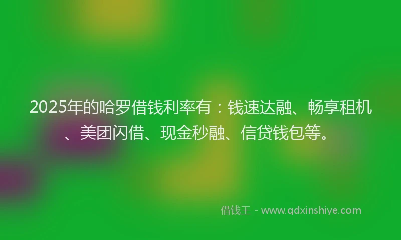 2025年的哈罗借钱利率有：钱速达融、畅享租机、美团闪借、现金秒融、信贷钱包等。