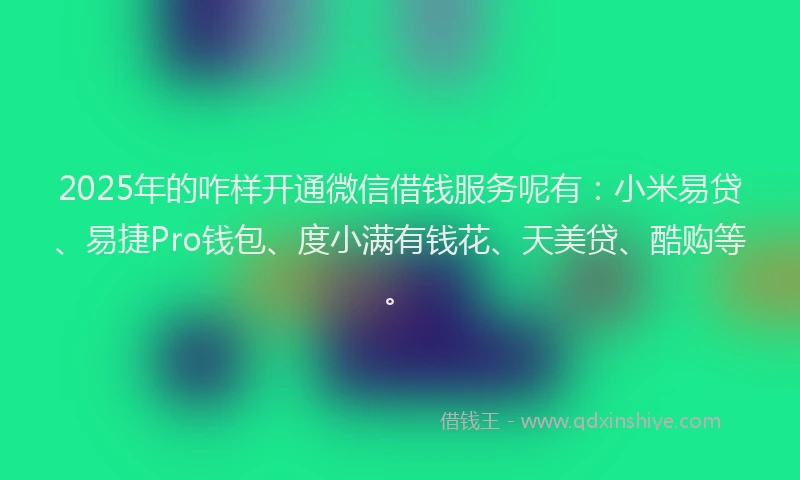 2025年的咋样开通微信借钱服务呢有：小米易贷、易捷Pro钱包、度小满有钱花、天美贷、酷购等。