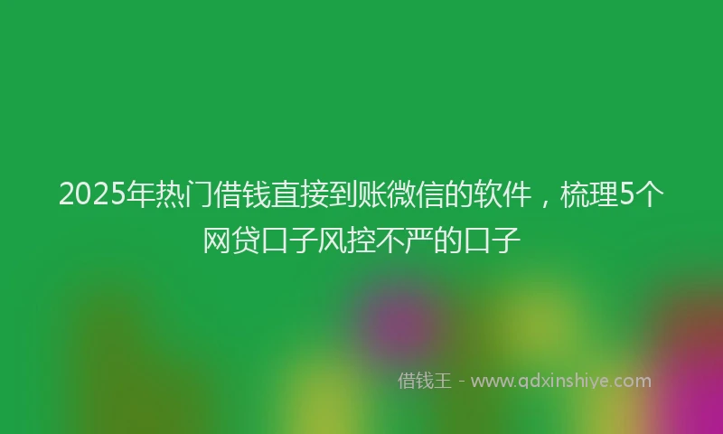 2025年热门借钱直接到账微信的软件，梳理5个网贷口子风控不严的口子