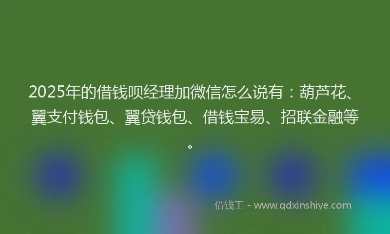 2025年的借钱呗经理加微信怎么说有：葫芦花、翼支付钱包、翼贷钱包、借钱宝易、招联金融等。