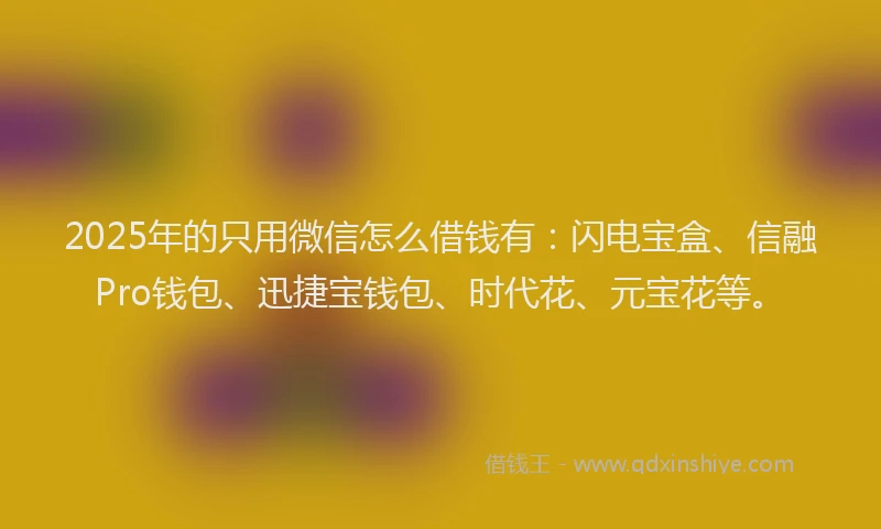 2025年的只用微信怎么借钱有：闪电宝盒、信融Pro钱包、迅捷宝钱包、时代花、元宝花等。