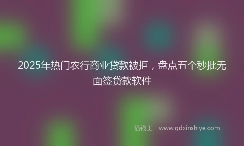 2025年热门农行商业贷款被拒，盘点五个秒批无面签贷款软件