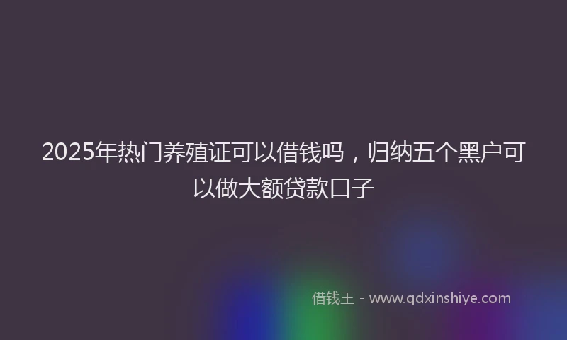 2025年热门养殖证可以借钱吗，归纳五个黑户可以做大额贷款口子