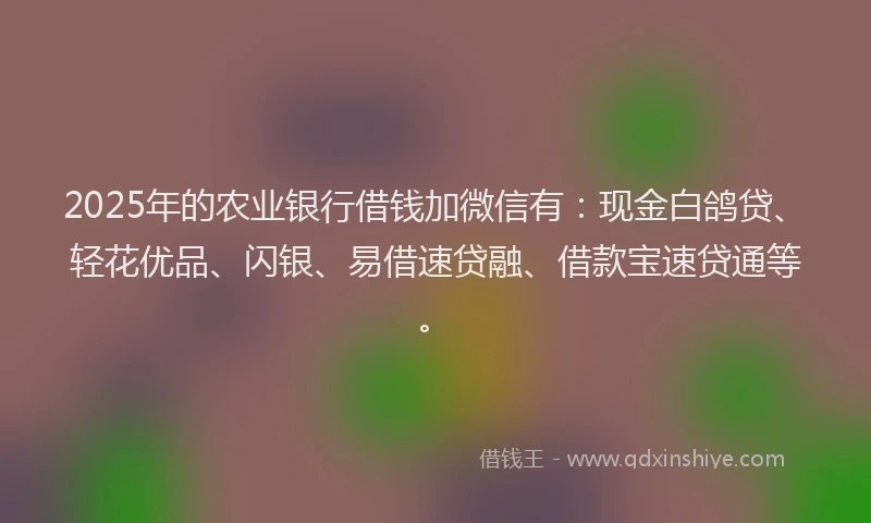 2025年的农业银行借钱加微信有：现金白鸽贷、轻花优品、闪银、易借速贷融、借款宝速贷通等。