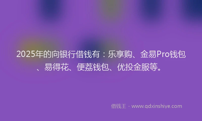 2025年的向银行借钱有：乐享购、金易Pro钱包、易得花、便荔钱包、优投金服等。