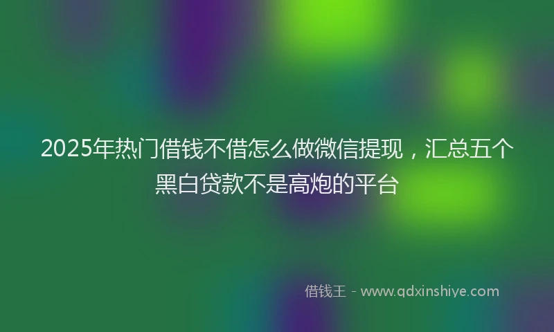 2025年热门借钱不借怎么做微信提现，汇总五个黑白贷款不是高炮的平台