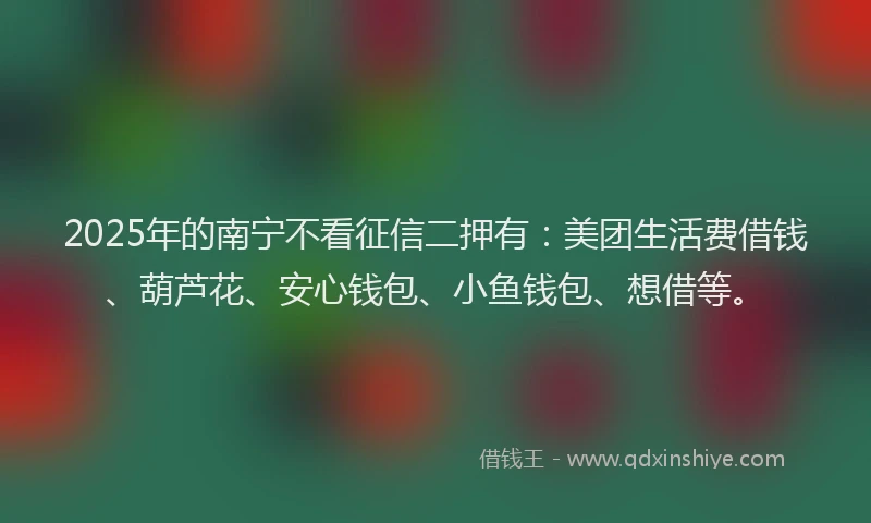 2025年的南宁不看征信二押有：美团生活费借钱、葫芦花、安心钱包、小鱼钱包、想借等。