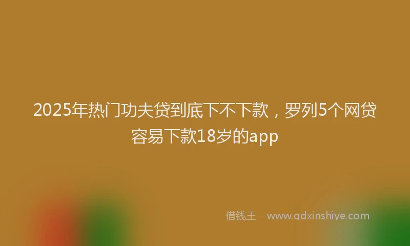 2025年热门功夫贷到底下不下款，罗列5个网贷容易下款18岁的app