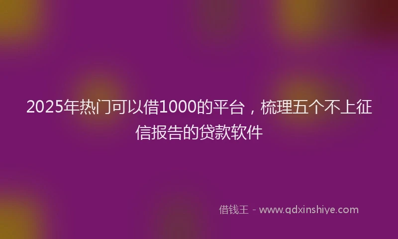 2025年热门可以借1000的平台，梳理五个不上征信报告的贷款软件