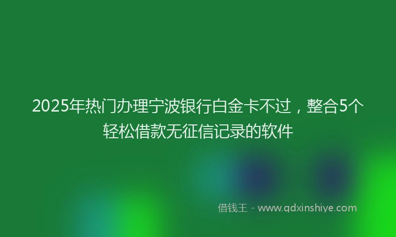 2025年热门办理宁波银行白金卡不过，整合5个轻松借款无征信记录的软件