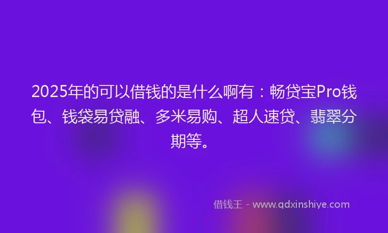 2025年的可以借钱的是什么啊有：畅贷宝Pro钱包、钱袋易贷融、多米易购、超人速贷、翡翠分期等。
