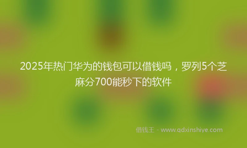 2025年热门华为的钱包可以借钱吗，罗列5个芝麻分700能秒下的软件
