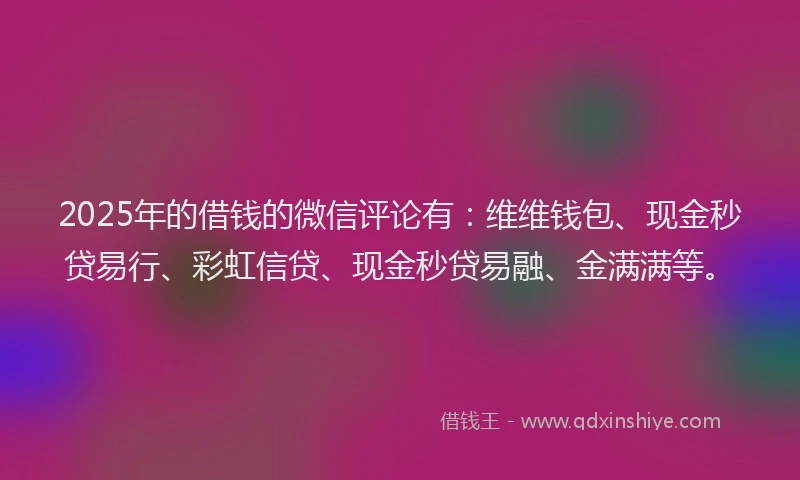 2025年的借钱的微信评论有：维维钱包、现金秒贷易行、彩虹信贷、现金秒贷易融、金满满等。