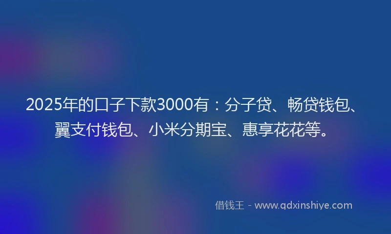 2025年的口子下款3000有：分子贷、畅贷钱包、翼支付钱包、小米分期宝、惠享花花等。