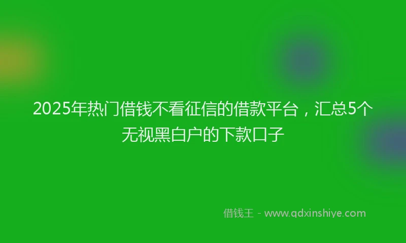 2025年热门借钱不看征信的借款平台，汇总5个无视黑白户的下款口子