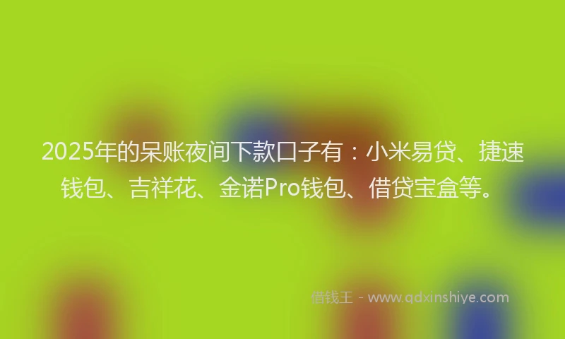 2025年的呆账夜间下款口子有：小米易贷、捷速钱包、吉祥花、金诺Pro钱包、借贷宝盒等。