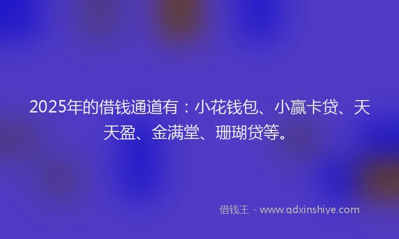2025年的借钱通道有：小花钱包、小赢卡贷、天天盈、金满堂、珊瑚贷等。